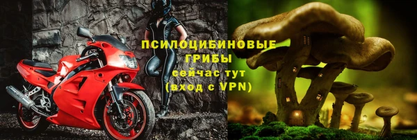 бошки Белоозёрский