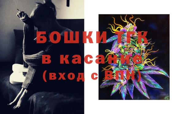 твердый Белокуриха